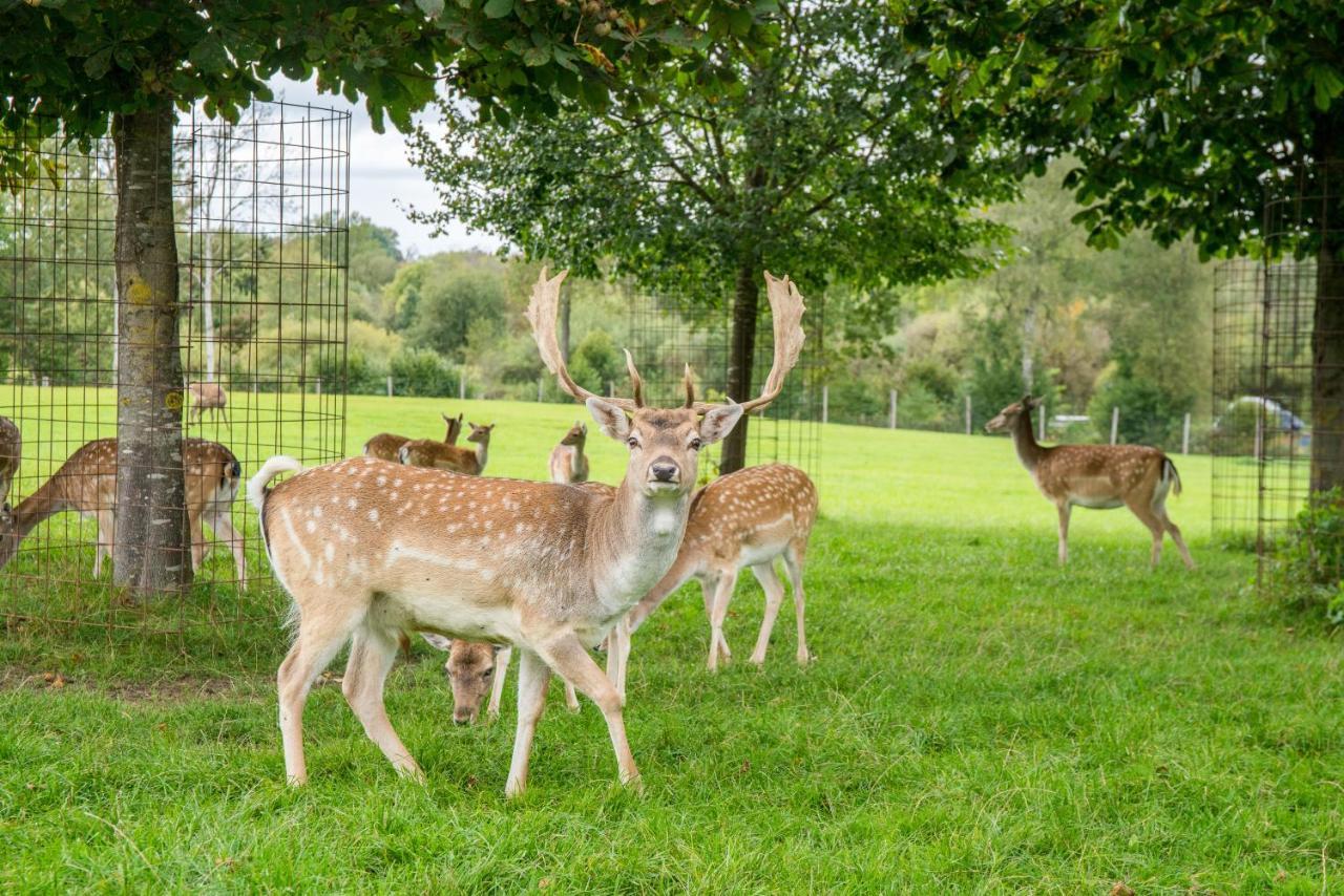 Hotel Hofgut Tiergarten Aulendorf Εξωτερικό φωτογραφία