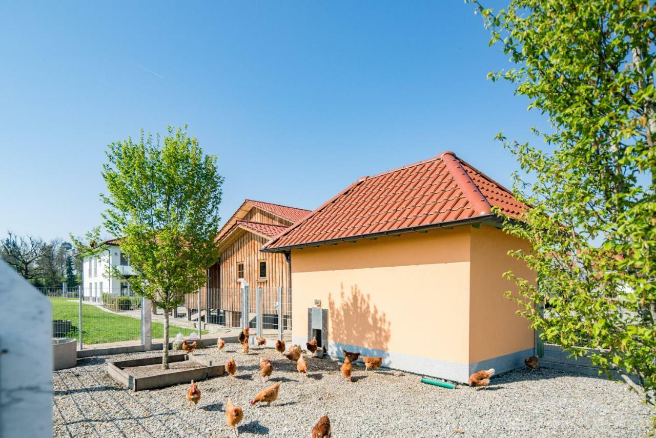 Hotel Hofgut Tiergarten Aulendorf Εξωτερικό φωτογραφία